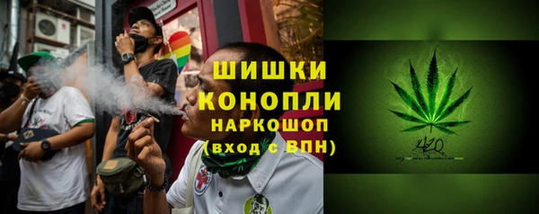 тгк Инта