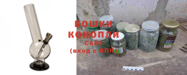 шишки Каменка