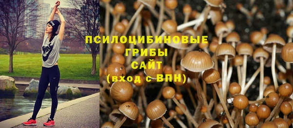 мяу мяу кристалл Инсар