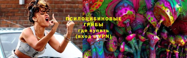 apvp Каменногорск
