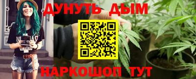 прущие крисы Гай