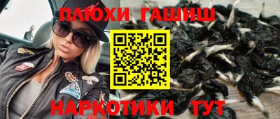 прущие крисы Гай