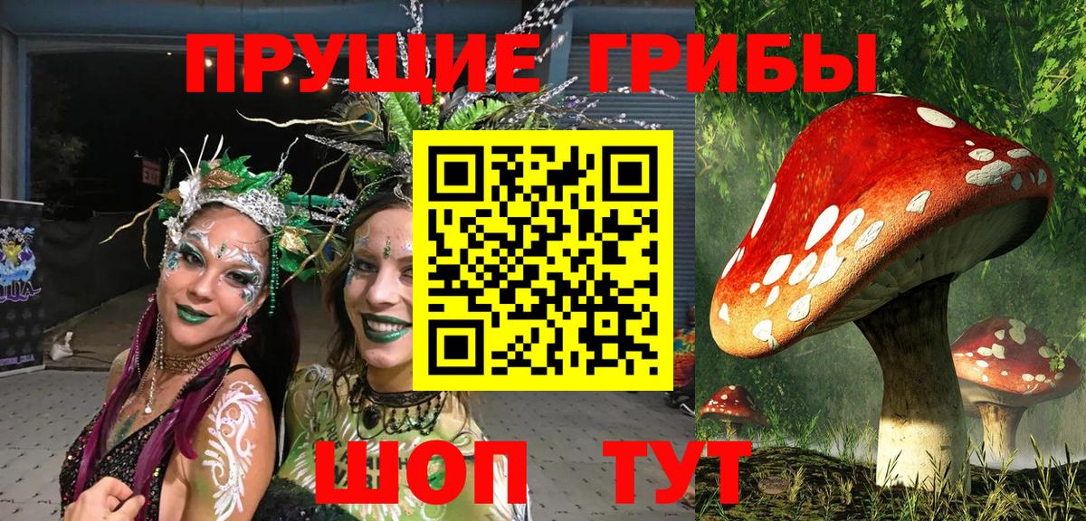 Псилоцибиновые грибы мицелий Зеленодольск