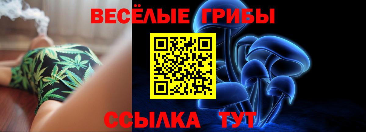 Псилоцибиновые грибы GOLDEN TEACHER  Псилоцибиновые грибы мухоморы  Зеленодольск  Вход с VPN 